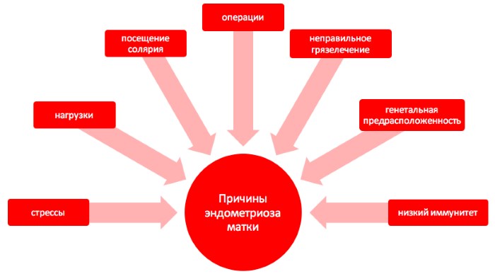 Эндометриоз шейки матки - что это такое, симптомы, лечение народными средствами, лекарства