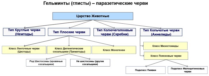 Избавляемся от глистов народными средствами в домашних условиях. Рецепты