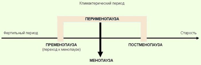 Лекарства от климакса для женщин негормональные, на травах. Эстровэл, Ременс, Климадинон, отзывы