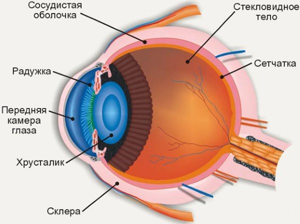 Операция по удалению катаракты. Сколько длится послеоперационный период, осложнения