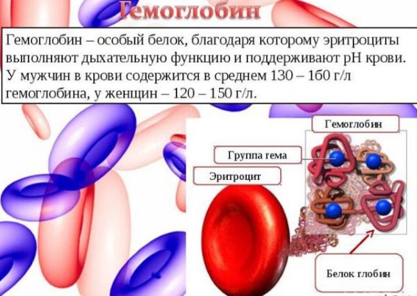 Симптомы пониженного гемоглобина в крови у женщин 40-60 лет, при беременности, после родов