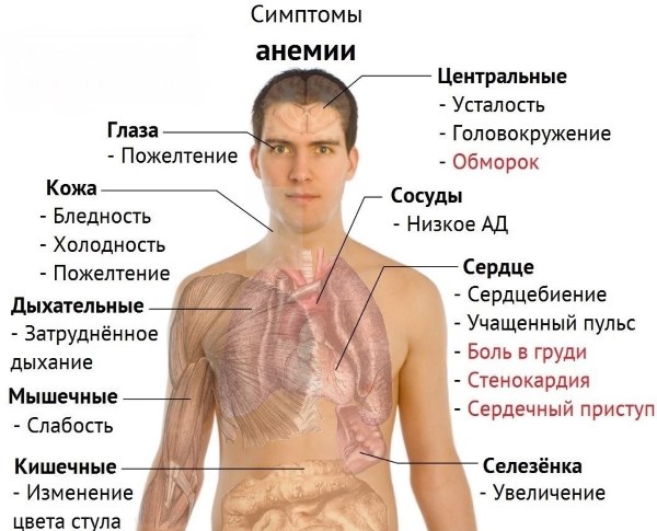 Симптомы пониженного гемоглобина в крови у женщин 40-60 лет, при беременности, после родов