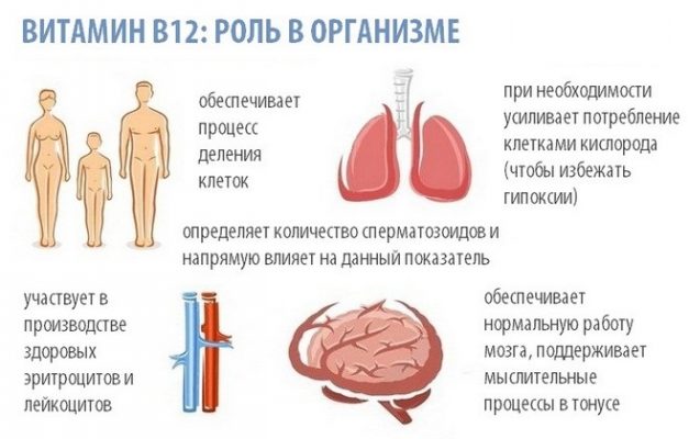 В каких продуктах содержится витамин в12 в большом количестве список лучших продуктов таблица с фото