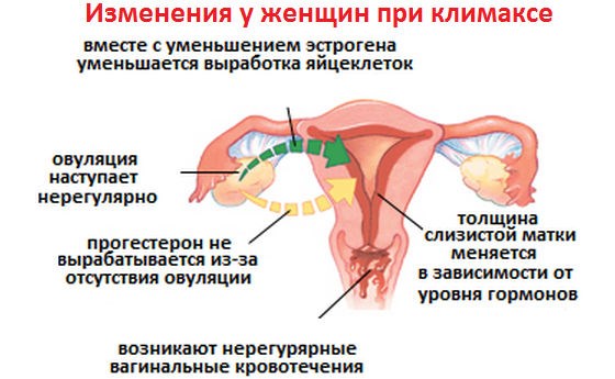 Климакс у женщин – что это, признаки, симптомы, когда наступает ранний, приливы при климаксе, препараты и витамины после 40, 45, 50 лет