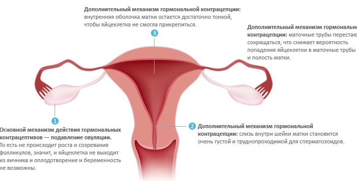 Противозачаточные таблетки и лучшие средства, чтобы не забеременеть. Какие есть, названия, инструкция применения