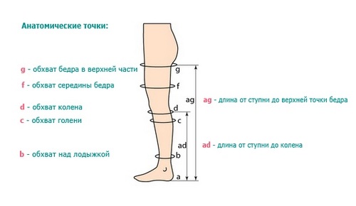 Компрессионные чулки от варикоза вен на ногах: показания к применению, виды, как их подобрать, одевать и носить