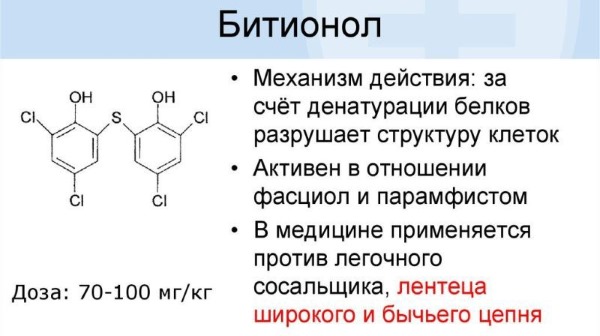 Таблетки от глистов для человека