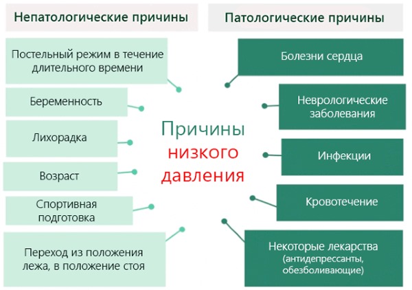 Как лечить пониженное давление у пожилых, у беременных, подростков. Лечение гипотонии в домашних условиях медикаментами, народными средствами