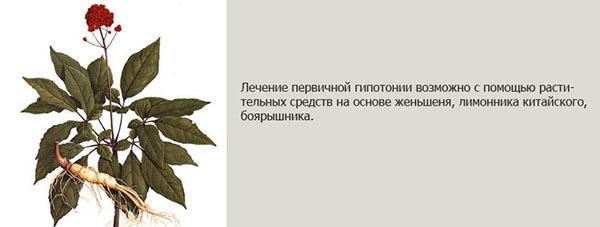 Как лечить пониженное давление у пожилых, у беременных, подростков. Лечение гипотонии в домашних условиях медикаментами, народными средствами