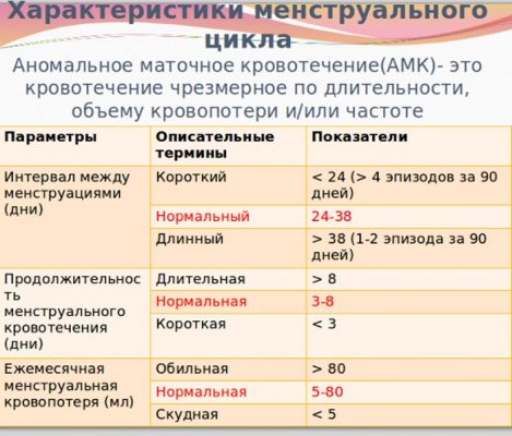 Откуда идут месячные из какого места схема