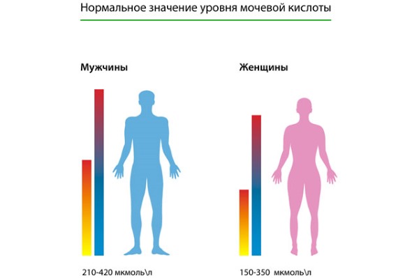 Мочевая кислота в крови: норма по возрасту, таблица симптомов, лечение