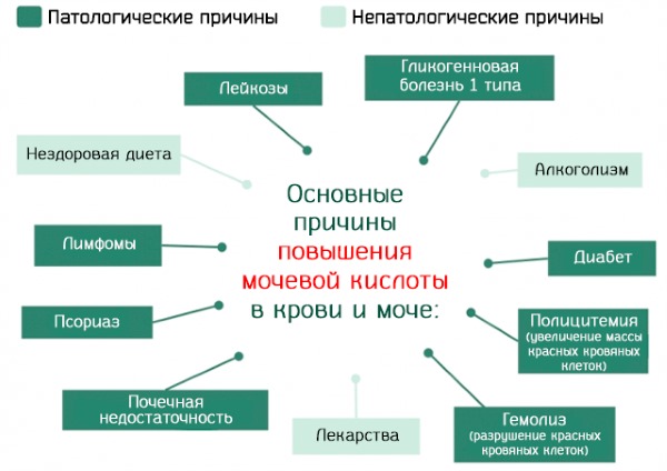 Мочевая кислота в крови: норма по возрасту, таблица симптомов, лечение