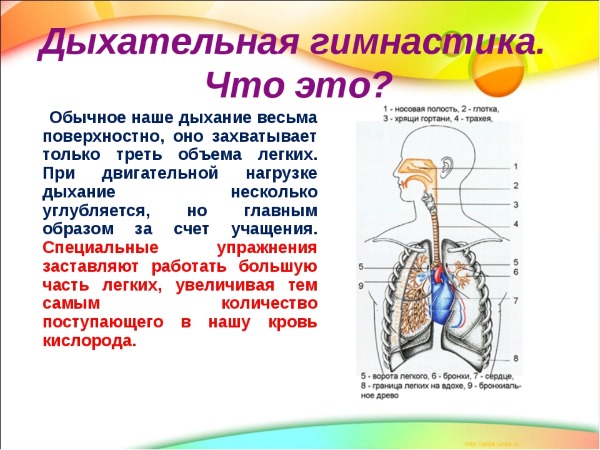 Народные средства от насморка и заложенности носа для детей разного возраста