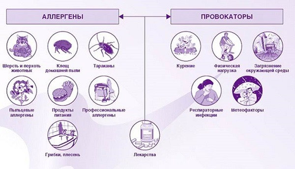 Народные средства от насморка и заложенности носа для детей разного возраста