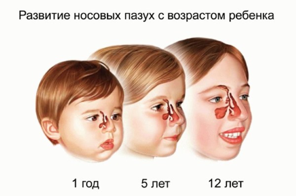 Народные средства от насморка и заложенности носа для детей разного возраста