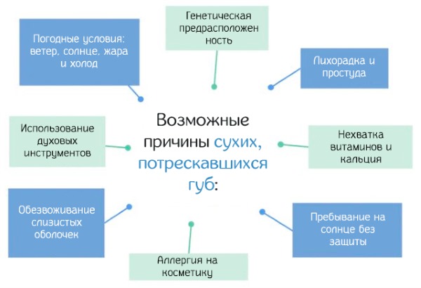 Как лечить обветренные губы: лечебные мази, кремы, рецепты масок, аптечные препараты, витамины для кожи губ