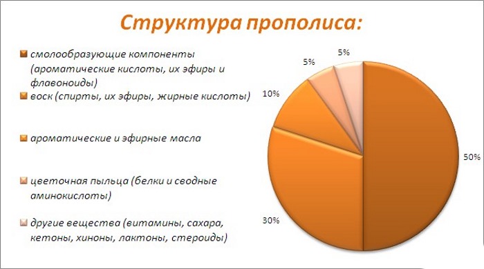 Прополис. Польза, лечебные свойства, как принимать настойку, рецепты применения мази, масла для женщин, мужчин и детей, противопоказания