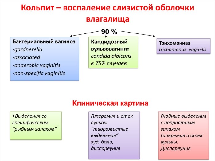 Противовоспалительные свечи в гинекологии для восстановления микрофлоры, при эндометриозе, с календулой, метилурациловые, ихтиоловые. Инструкции по применению