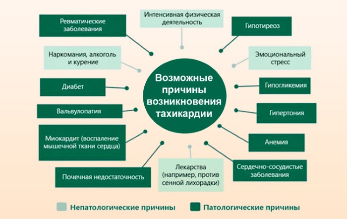 Пульс человека. Норма по возрасту в 20, 30-40, 50-60 лет, без нагрузки, при нагрузке. Как нормализовать пульс при сбоях