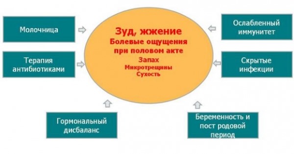 Зуд и жжение в интимной зоне у женщин. Причины, как лечить при климаксе, сахарном диабете, препараты и народные средства