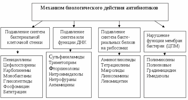 Антибактериальные мази для кожи лица, интимной зоны, ног, рук, головы, при дерматите для детей и взрослых. Список