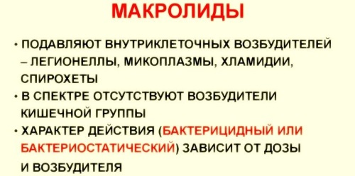 Антибактериальные мази для кожи лица, интимной зоны, ног, рук, головы, при дерматите для детей и взрослых. Список