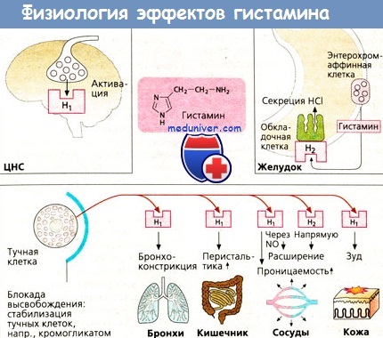 Фенистил в каплях. Инструкция по применению для новорожденных, детей, взрослых, при беременности. Дозировка, противопоказания, побочные эффекты, аналоги