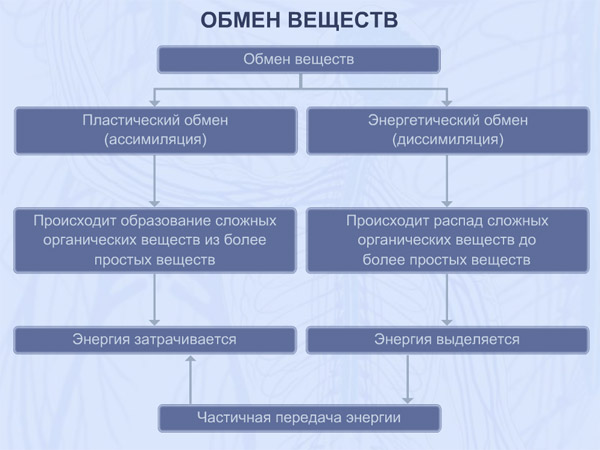 Гормональный сбой у женщин: симптомы, признаки и лечение при задержке месячных, до или после менопаузы. Медикаментозная терапия и народные средства