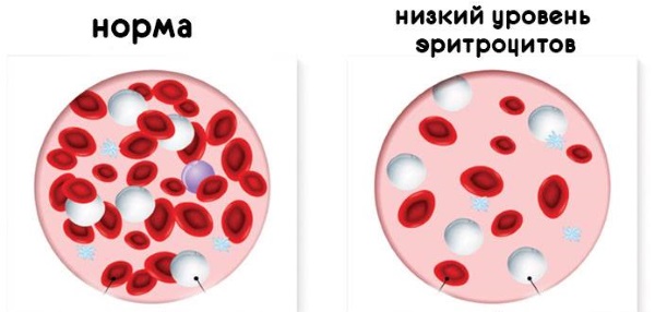 Кружится голова и слабость. Причины у мужчин, женщин и детей. Как лечить головокружение медикаментами и народными средствами в домашних условиях