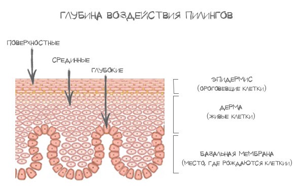 Лечение акне и постакне на лице: аппаратная косметология, препараты, лазером, жидким азотом, холодной плазмой, плазмолифтингом, кремами, гомеопатией, пиявками