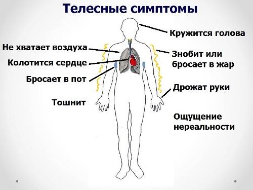 Вегето-сосудистая дистония. Причины, симптомы и лечение у женщин, мужчин, подростков, детей препаратами и народными средствами