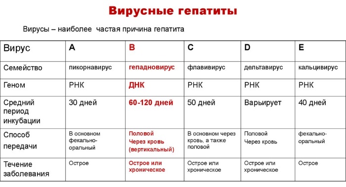 Анализ крови. Таблица норм, расшифровка результатов: общий, СОЭ, на сахар, свертываемость, биохимический, ревмопроба