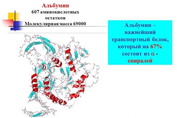 Анализ крови. Таблица норм, расшифровка результатов: общий, СОЭ, на сахар, свертываемость, биохимический, ревмопроба