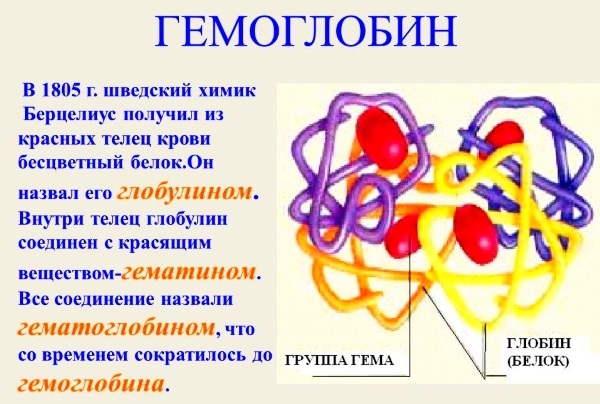 Анализ крови. Таблица норм, расшифровка результатов: общий, СОЭ, на сахар, свертываемость, биохимический, ревмопроба