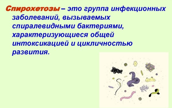 Ангина у детей - симптомы и лечение вирусной, катаральной, бактериальной, гнойной, герпесной формы, с температурой и без. Какой антибиотик принимать, профилактика