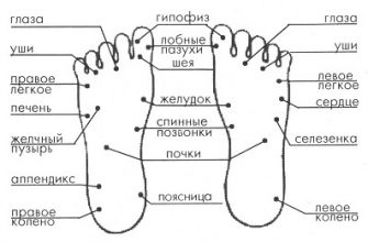 Точки для похудения на теле человека в картинках