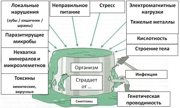 Программы Снижения Веса В Домашних Условиях