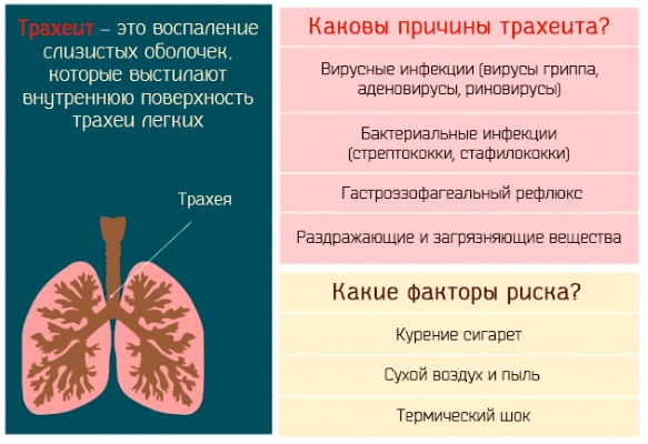 Флюдитек. Инструкция по применению сиропа для детей и взрослых. Состав, как принимать, аналоги, отзывы