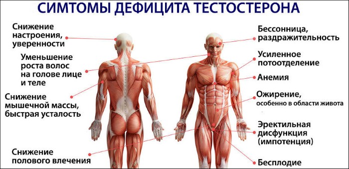 Тестостерон пропионат (Testosterone propionate). Инструкция по применению