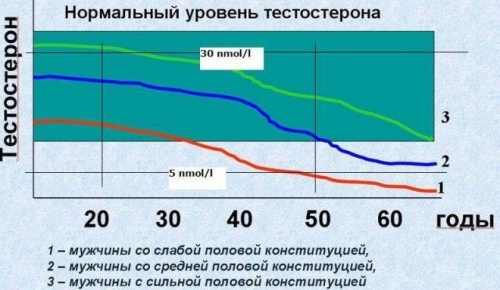 Как повысить тестостерон у мужчин естественными способами, народными средствами, препараты в аптеке, норма гормона в зависимости от возраста