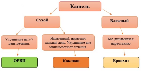 Коклюш у детей - симптомы и лечение, фото, как определить, лечить ребенка народными средствами, антибиотиками. Последствия и профилактика