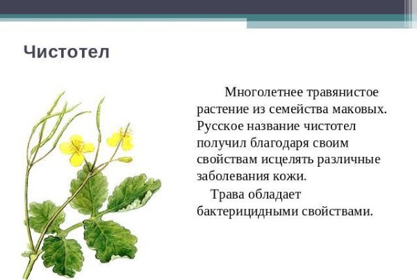 Красные пятна на лице у ребенка, новорожденного. Фото, причины возникновения, чем лечить