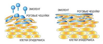 Крем Ф99. Инструкция по применению для взрослых и детей. Состав, схема применения, противопоказания, аналоги