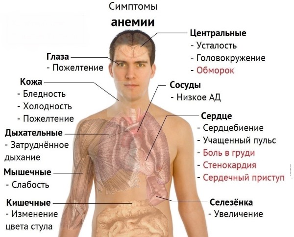 Одышка и нехватка воздуха: причины при беременности, у ребенка, пожилого человека, при ходьбе, физических нагрузках и в спокойном состоянии