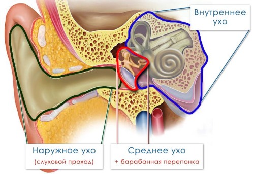 Отит у ребенка - симптомы и лечение в домашних условиях. Препараты, народные средства, лечение по Комаровскому