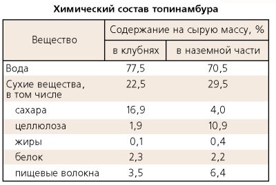 Сироп Топинамбура. Польза и вред, состав и пищевая ценность, гликемический индекс. Рецепт, как приготовить, принимать в домашних условиях