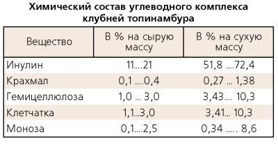 Сироп Топинамбура. Польза и вред, состав и пищевая ценность, гликемический индекс. Рецепт, как приготовить, принимать в домашних условиях