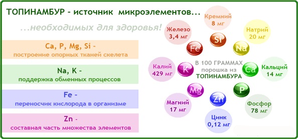 Сироп Топинамбура. Польза и вред, состав и пищевая ценность, гликемический индекс. Рецепт, как приготовить, принимать в домашних условиях