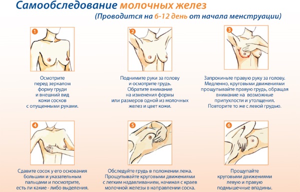 УЗИ молочных желез - когда можно делать, расшифровка, норма, подготовка, на какой день цикла