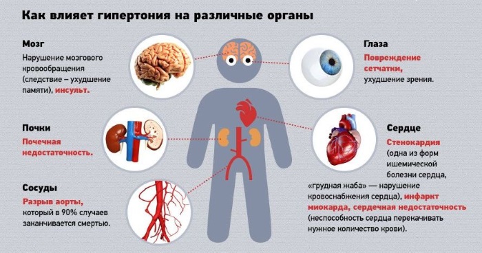 Валерьянка в таблетках, каплях, настойка. Инструкция по применению, лечебные свойства, курс лечения, как принимать при беременности